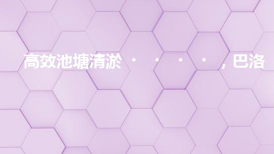 高效池塘清淤，巴洛仕設(shè)備助您一臂之力